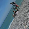 lavieestbelless