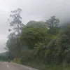 rafaelavilach