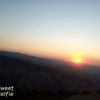 aliloularabi2