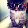fab_0...xx