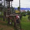 charlesnauli36