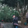 dinzoox____