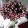 maram84194