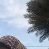 sunsetaddict93