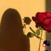 tmn123696bn