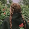 alanwalker7311
