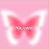 NIC.core