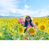 nima_m524