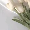 cxllmekew6
