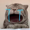 khanhngoc30104