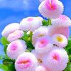 user8500431419114