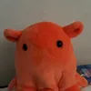 jyaniotaandarmy