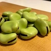 west_favabean