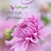 user2235057504306