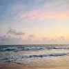 alexis02033