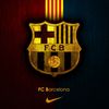 msn_fcb10509