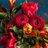 fawaz.hjl