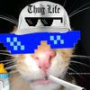 user3c02t62w48