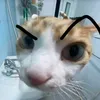 milagrosmaman8