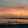 sorbellofrancesca