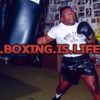 .boxing.is.life