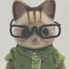 very_scary_gato