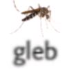 theglebaglllb