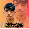 nabeeljaat2