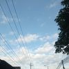nasywajihan06