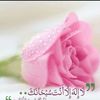 assia_assia75