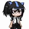 catcute2025.2024