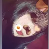 bongxiggai213