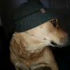 maya_lu0