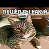 useraxihtw30p3