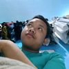 alfanfa11