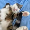 vittoriab_3