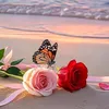 user86d52bnu8n