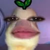 nella2714