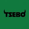 its_tseboo