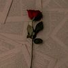 marimhatem