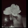 jenishapandey124