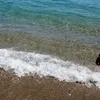 lolabp_83
