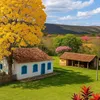eliane.fernandes1801