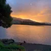 owly_thewhateverthisis