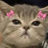katty_12a