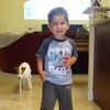 talin_o