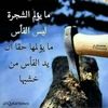 8alrabi82abdalla