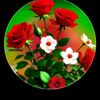 12khorshedalam