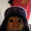 gato_sovietico.mc