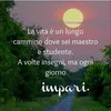 silviadr39
